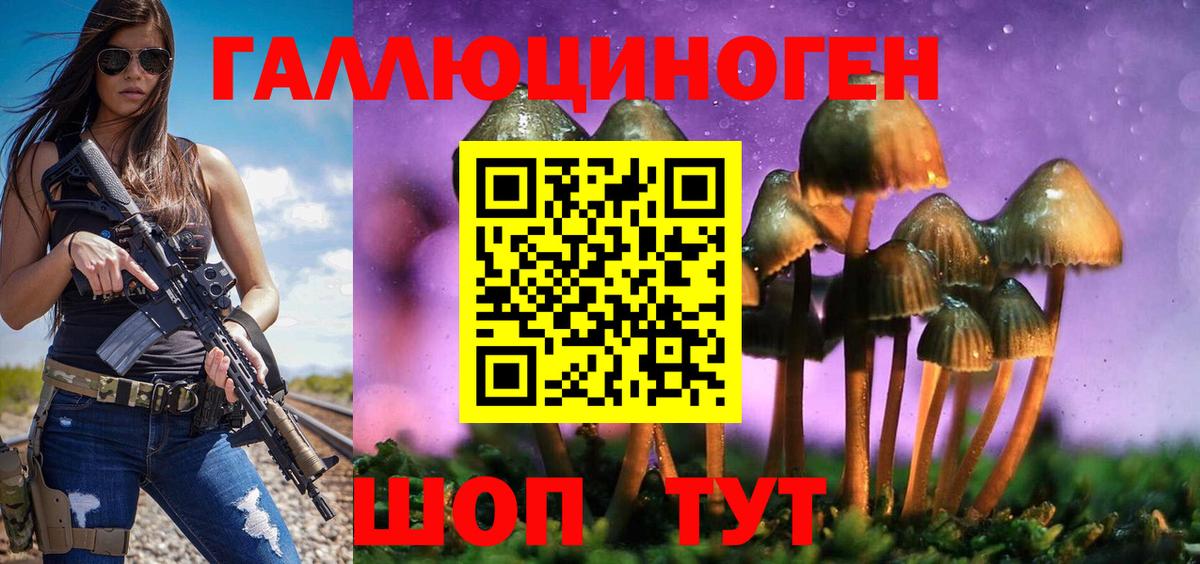 Кулебаки  Галлюциногенные грибы Psilocybine cubensis  Вход с VPN  Псилоцибиновые грибы мухоморы 