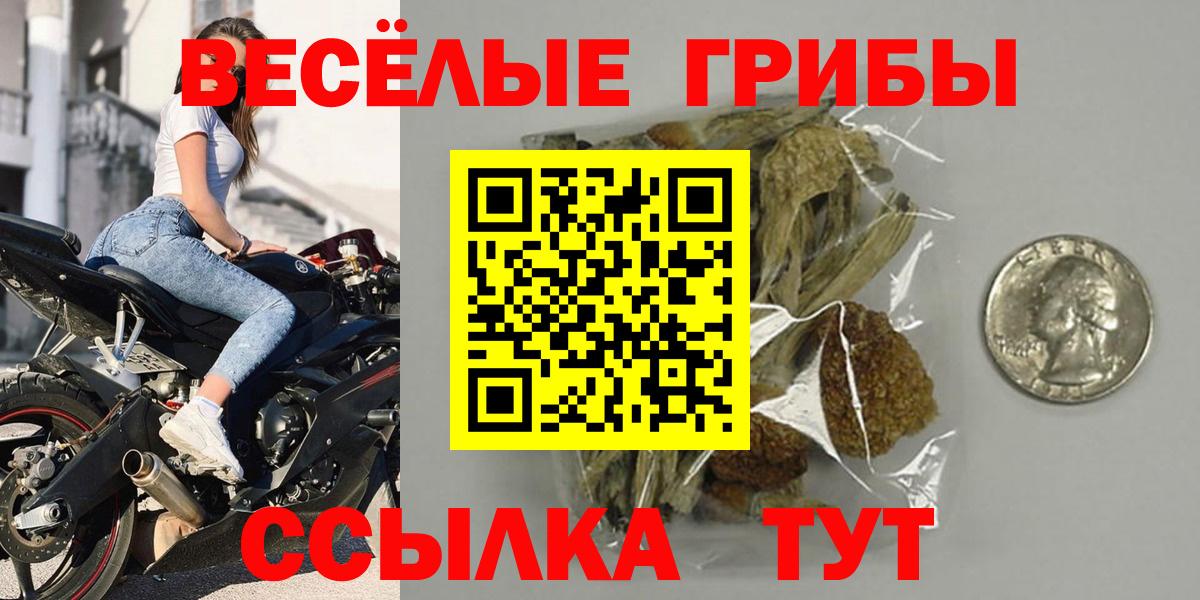 Псилоцибиновые грибы GOLDEN TEACHER Кулебаки